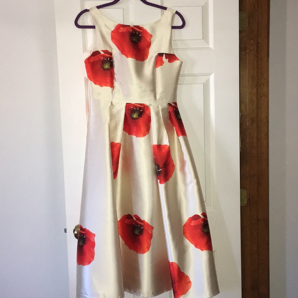 Stunning Chicwish poppy dress